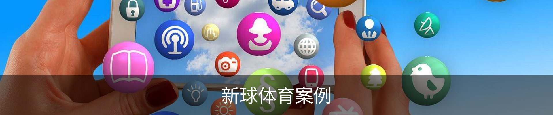 新球体育案例